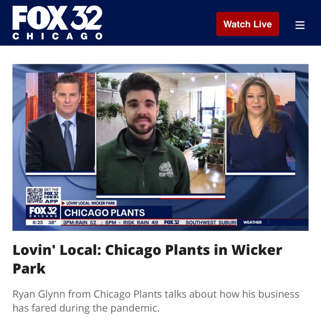 Fox 32 Lovin Local Chicago Plants in Wicker Park