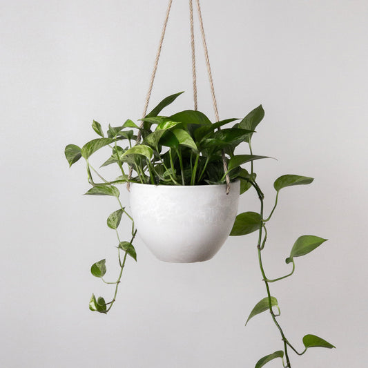 Signature Stone Hanging Planter (4-7")